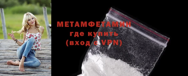 прущие грибы Зерноград