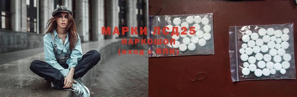 прущие грибы Зерноград
