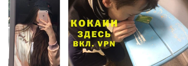 прущие грибы Зерноград