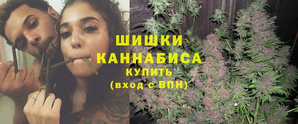 прущие грибы Зерноград
