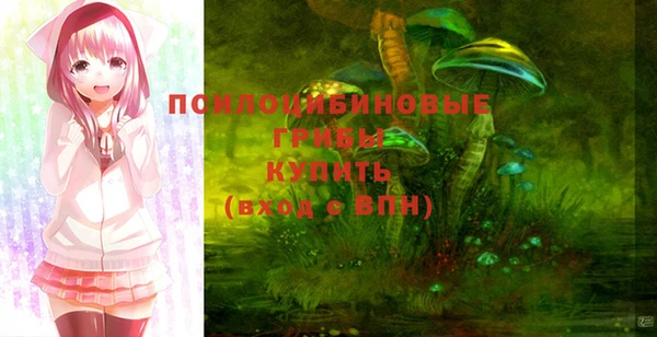 прущие грибы Зерноград