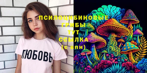 прущие грибы Зерноград