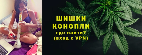 прущие грибы Зерноград