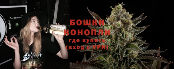 прущие грибы Зерноград