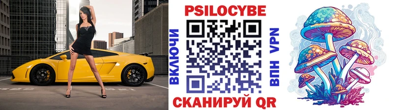 Купить закладки  Киржач  Псилоцибиновые грибы прущие грибы 